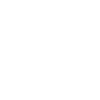 Spirit Animal Soul Being Octopus