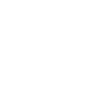 Octopus Spirit Animal