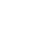 Spirit Animal Octopus