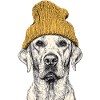 Beanie Retriever