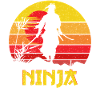 Ninja Sunset Shadow Warrior