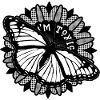 Toxic Beauty – Monarch Butterfly