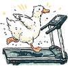 Treadmill duck