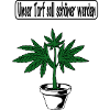 Conception du cannabis