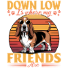 Funny Dog Breed Basset Hound