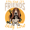 Funny Dog Breed Basset Hound