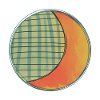 Moon Sun Equinox Occult Easter Blessings