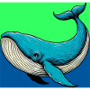 whale