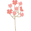 Fleur