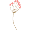 Fleur