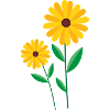 Fleur