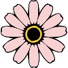 Flower pastel pink flowers blossom pastel