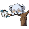 Sleeping koala on the clock branch