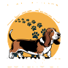 Funny Dog Breed Basset Hound