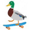 Duck on the skateboard
