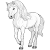 Weißes Pferd