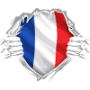 Drapeau Français Déchiré Style Patriotique France
