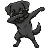 Dabbing Labrador Retriever