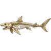Angler Shark Skeleton Fossil Ocean Motif