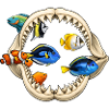 Aquarium Lover Shark Dentition Fish Ocean