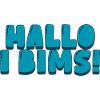 Hallo i bims!