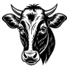 Cow head