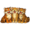 Trio joyeux : Tigre, Guépard et Jaguar