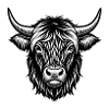 Highland Cow