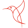 Sketch of a Red Bird