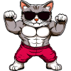 Gatos de Fitness