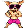 Fitness Chihuahua