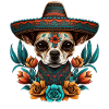 Chihuahua Fiesta Floral Sombrero Dog