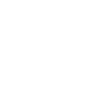 High Speed Snail Club