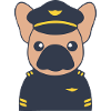 Frenchie Pilot Captain Uniform