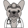 Frenchie Doctor Stethoscope Comic
