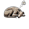 Se sentir fatigué Whippet Whippets Lévriers