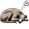 Hundemüde Whippet Windhund Whippets Whippethalter