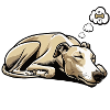 Hundemüde Whippet Windhund Whippets Whippethalter