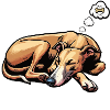 Hundemüde Whippet Windhund Whippets Whippethalter