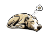 Se sentir fatigué Whippet Whippets Lévriers