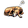 Se sentir fatigué Whippet Whippets Lévriers
