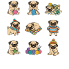 Cute Pug Knit Wool Haekeln Dog Lover