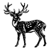 Cerf