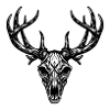 Deer skull