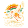 duck shooting