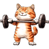 Cat Fitness