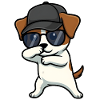 Dab du Jack Russel Terrier