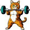 Cat Fitness
