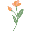 Fleur