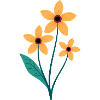 Fleur